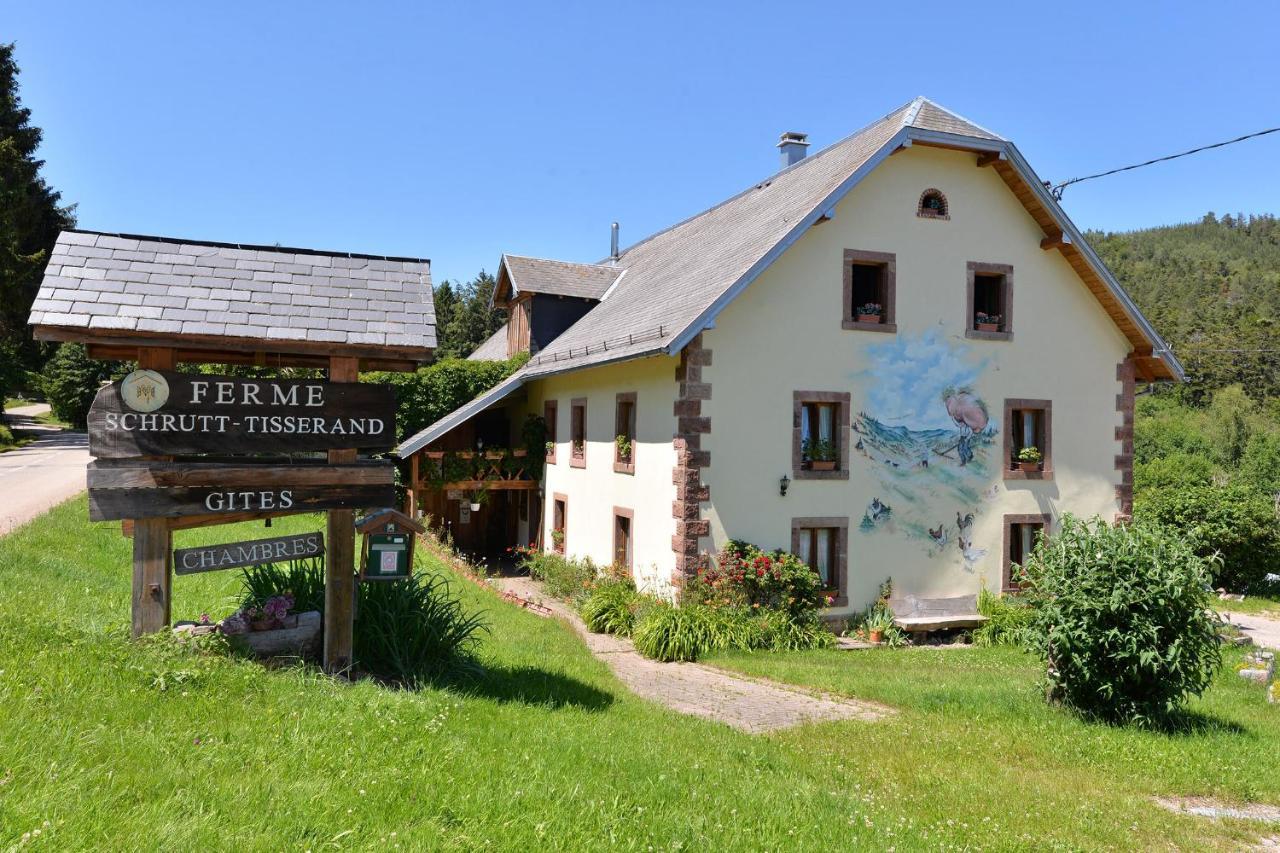 Gîte 1 Chambre