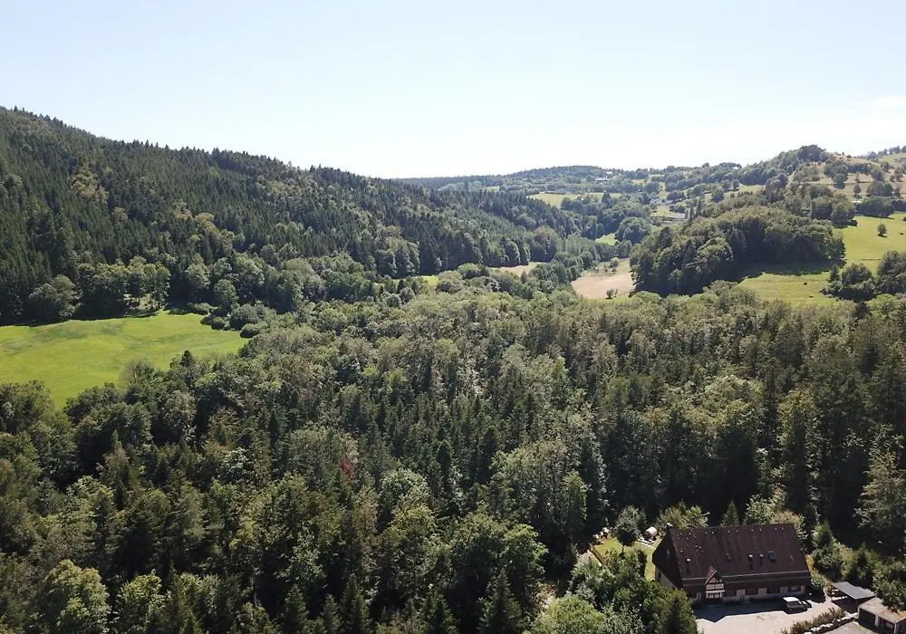 Coté Forêt-1