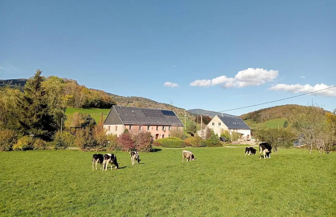 Gîte Les 4 Saisons-1