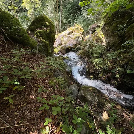 Le Domaine De Pairis-3